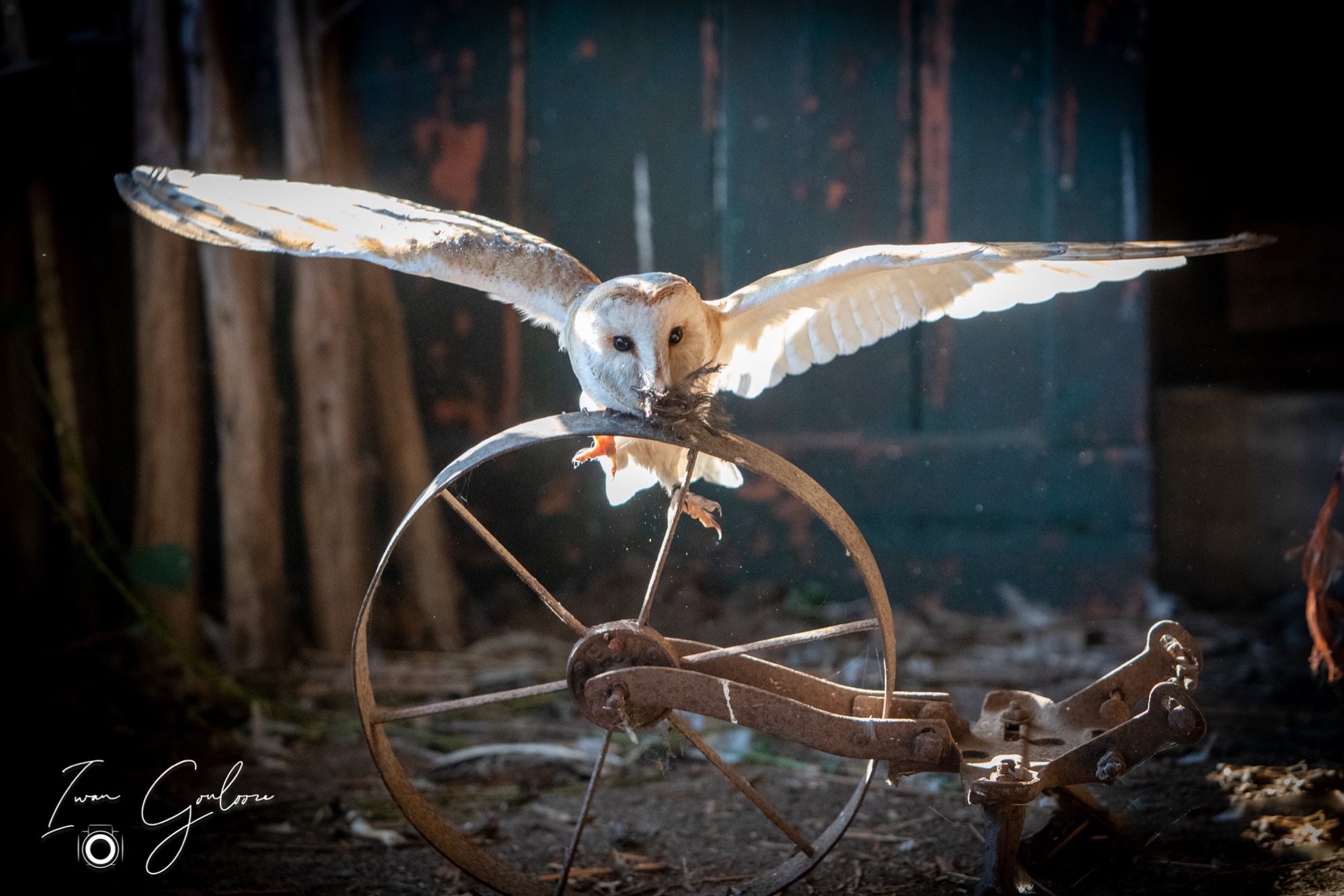 04 maart 2022 161031 1DX44220